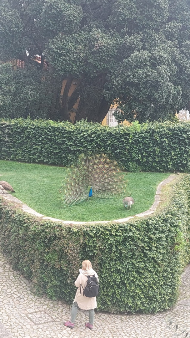 WhatsApp Image 2026-03-12 at 21.44.35 (1).jpeg